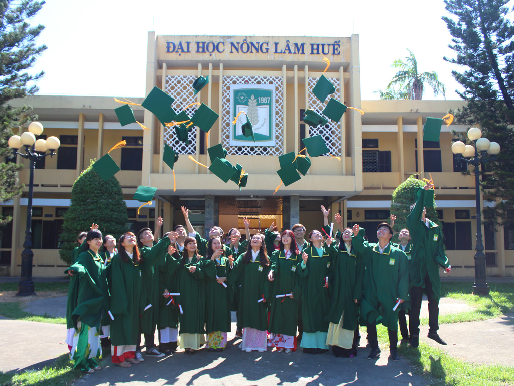 Trường Đại Học N&ocirc;ng L&acirc;m Đại Học Huế học ph&iacute;
